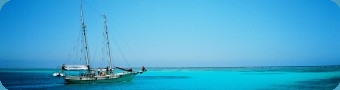 Great Barrier Reef Dive Trips