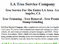 Tree Trimmer Service in North Hollywood Burbank, CA